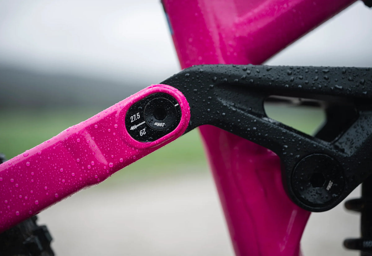 Marin Alpine Trail XR AXS