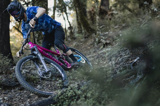 Marin Alpine Trail 1